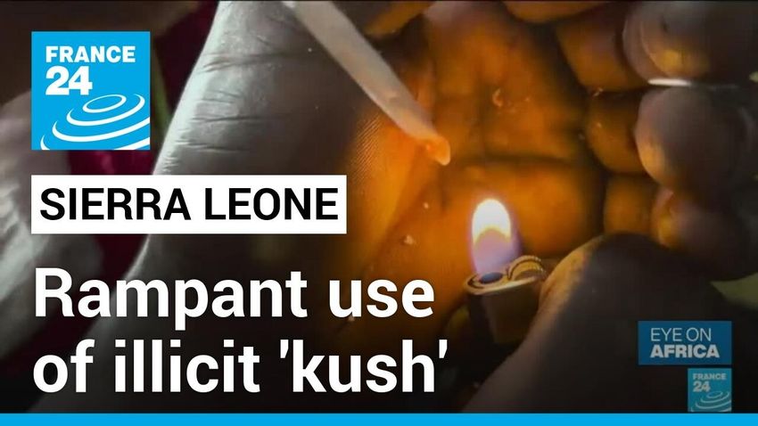  Sierra Leone drug abuse: Rampant use of illicit ‘kush’ destroying young lives