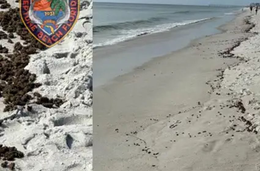  Pounds Of Marijuana Wash Up On Florida Beach