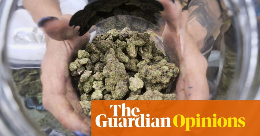  Scottish politicians have the courage to decriminalise drugs, but Westminster is too timid to let them | Simon Jenkins