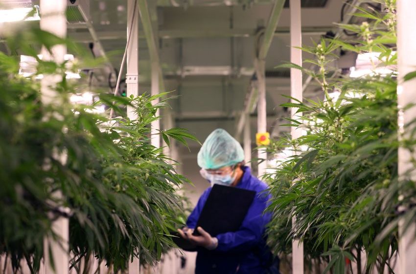 Legal Marijuana Would Be a Mixed Blessing for This High-Yield REIT