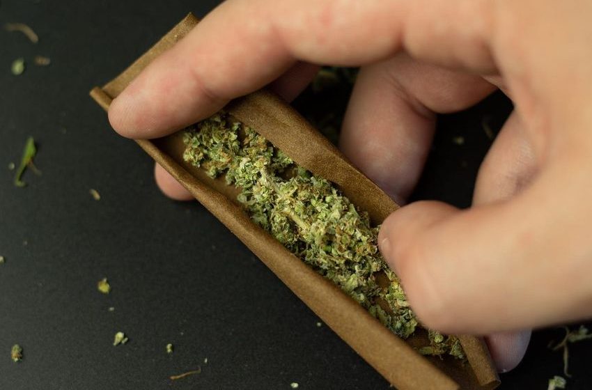  Tobacco-Free Blunt Wraps Are Popular Among Young Marijuana Smokers, Study Finds