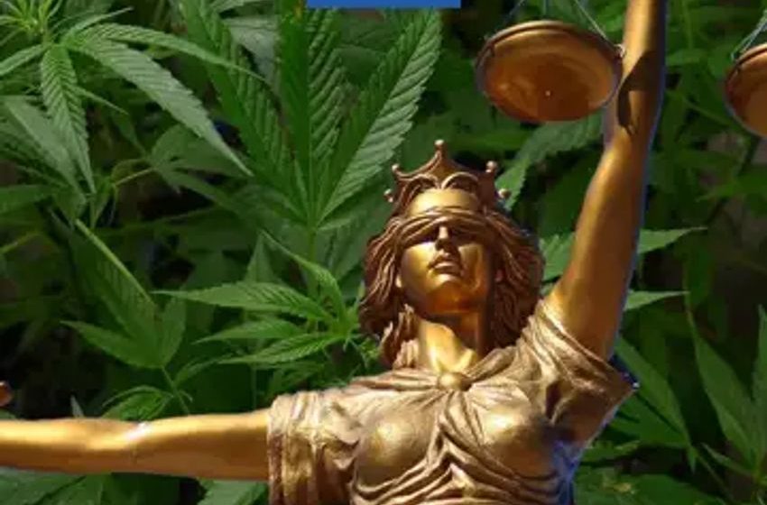  California Cannabis Co. Accused Of Illegally Shipping Marijuana Strikes Back With Countersuit