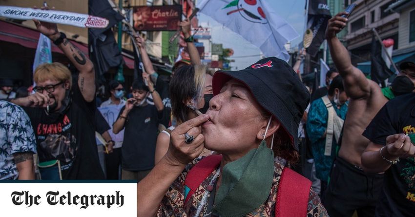  Anti-cannabis sentiment grows in Thailand a year on from legalisation