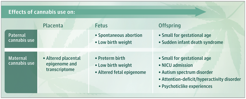  Cannabis Use and Perinatal Health Research