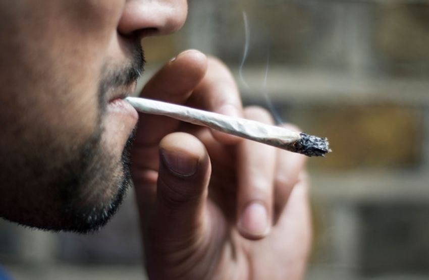  Germany approves plan to legalise cannabis sale and usage