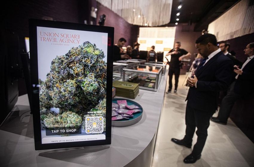  New NY marijuana dispensary licenses halted by judge. Why it happened