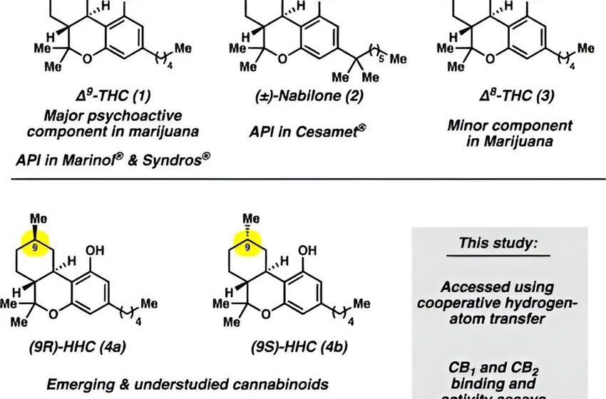  Consumers who buy cannabis products containing HHCs could be getting less than they hoped for