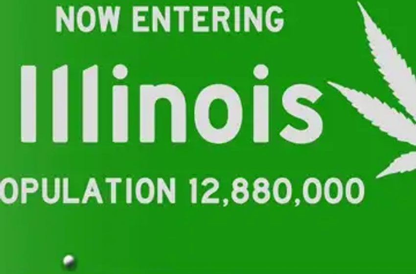  Sell Much Weed? Illinois Cannabis Sales Top $140M In July, Setting New Record