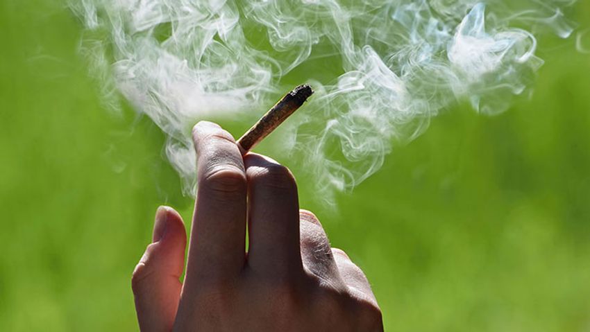  Survey Highlights Changing Perceptions Regarding Cannabis and Tobacco