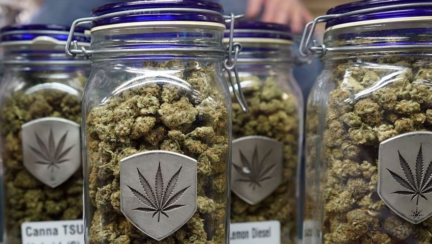  Marijuana legal in Minnesota: Here’s what states have legalized recreational, medical use