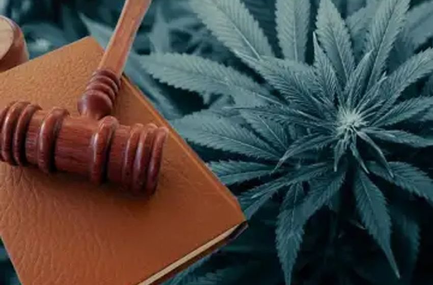  DOJ Disagrees That Gun Ban For Marijuana Users Is Unconstitutional, Is Inhaling Weed Safer Than Tobacco? And More Regs