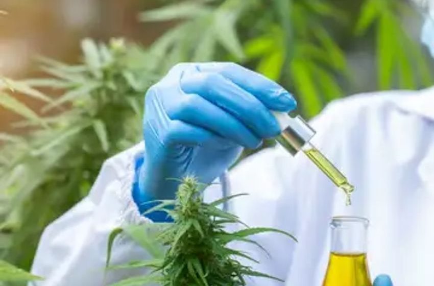  New Study Looks At Obscure Cannabinoids For Treating Psoriasis, Eczema And Acne