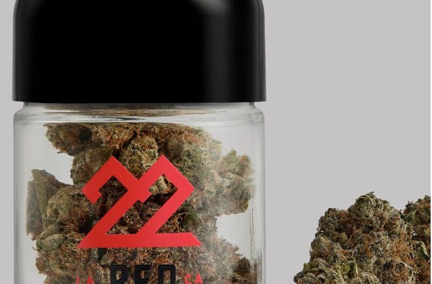  Premium Cannabis Flower – 22Red Boasts a High-Quality Cannabis Range—From Flower to Pre-Rolls (TrendHunter.com)