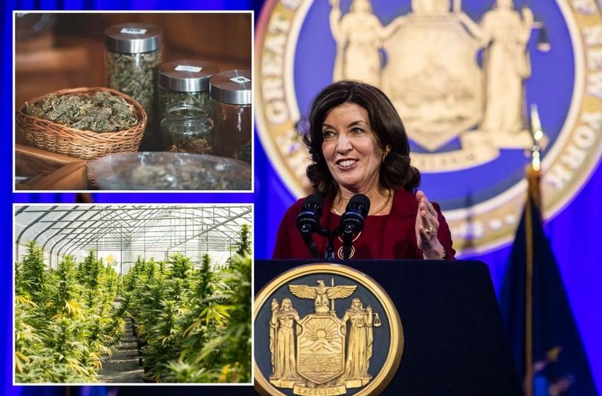  Hochul team flunked NY’s legal marijuana rollout while letting black market thrive, cannabis advocates say