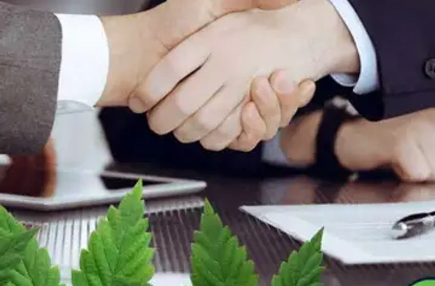  Capitalizing On Cannabis In Times When Investors Are Scarce: This Co. Raises Over $10 In Funding