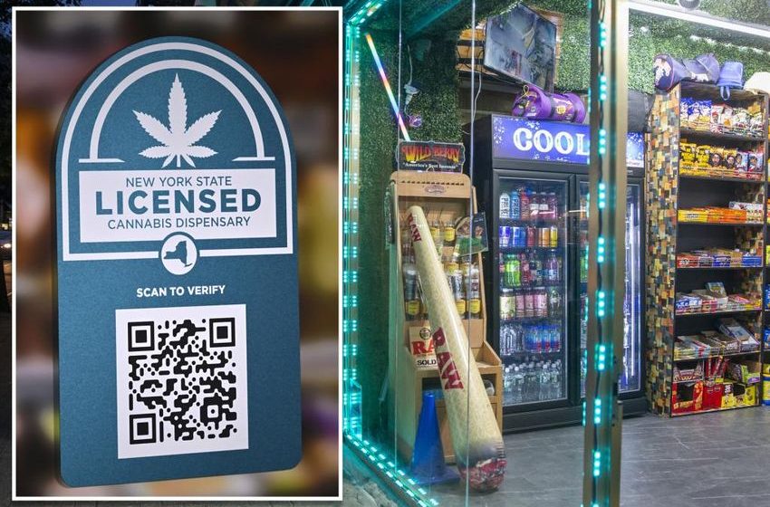  NY judge blocks new state cannabis licenses after disabled veterans claim discrimination