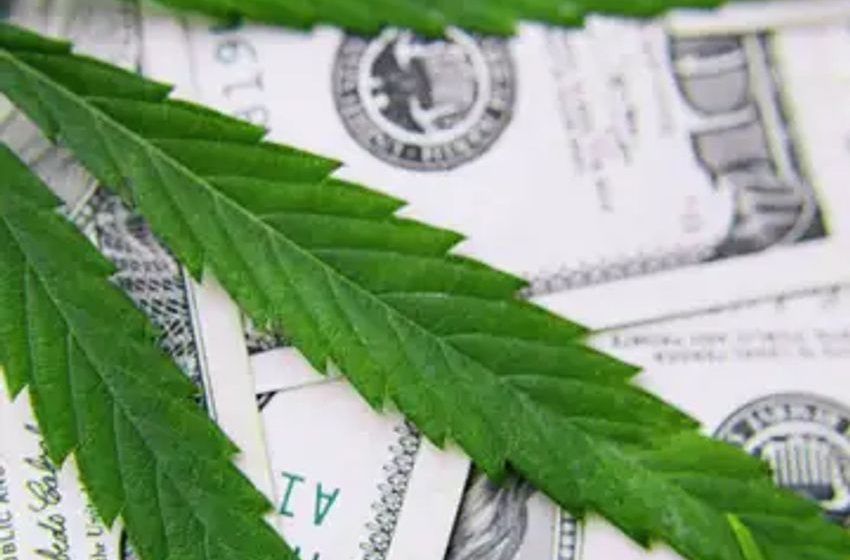  $150 Million in Marijuana Sold in Massachusetts in July, $883 Million Year-to-Date ($150 million in taxes year-to-date)