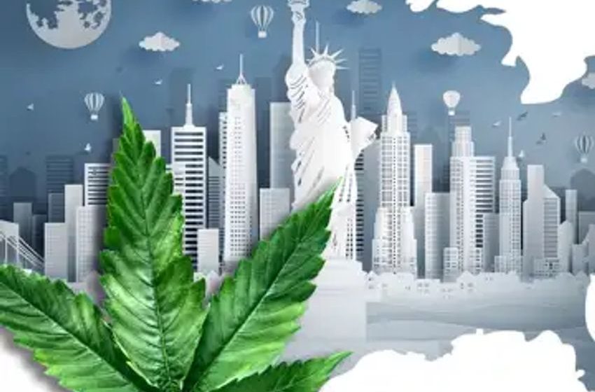  Cannabis Regulations Updates In CA, MS, MN & IN, From Marijuana Sales To Hemp Farmers’ Sustainable Innovations