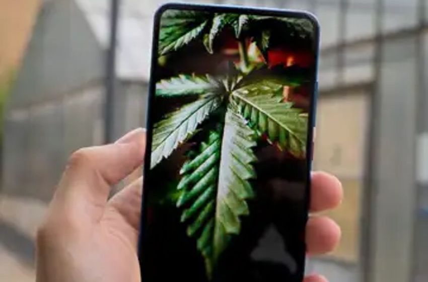  Gen Z’s Weed Shopping Solution: New Partnership Redefines Cannabis Shopping With Augmented Reality