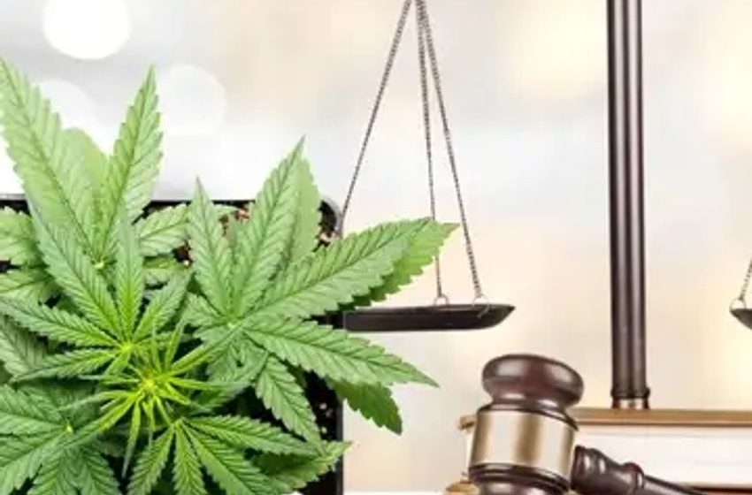  New York’s Cannabis Program In Turmoil As Judge Blocks New Dispensary Licenses