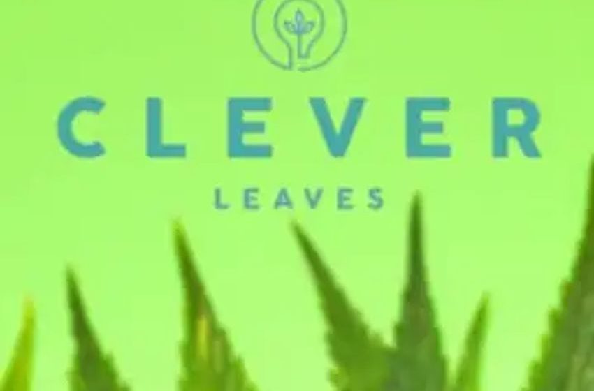  Clever Leaves Fights Back: Bold Moves Secure Its NASDAQ Position Amid Global Cannabis Market Uncertainties