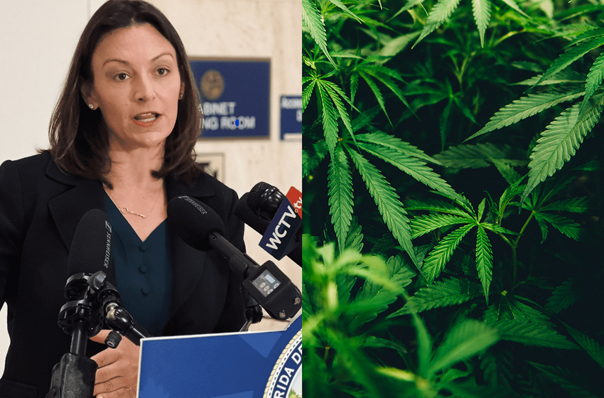  Simpson rebukes Fried’s claims that concerns over hemp marketing to children is ‘mass hysteria’