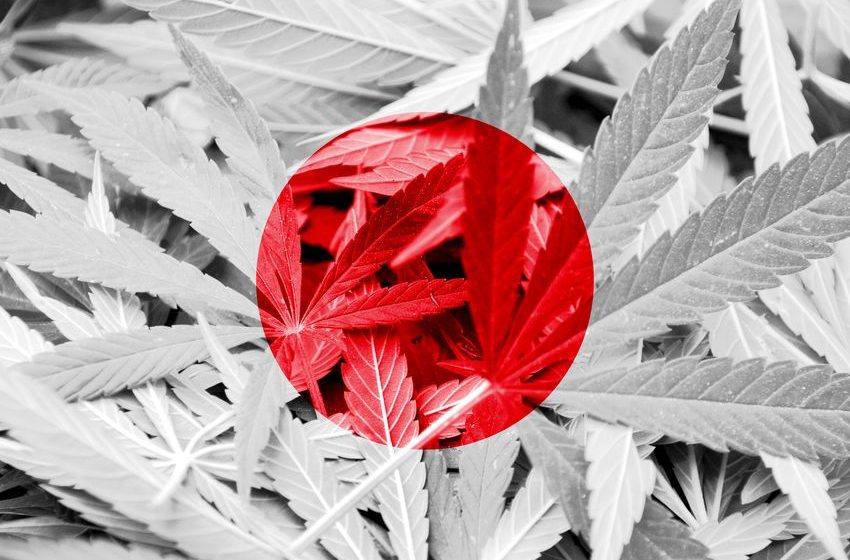  It’s Illegal to Sell or Possess Cannabis in Japan—But It’s Legal to Get High On It. Here’s Why