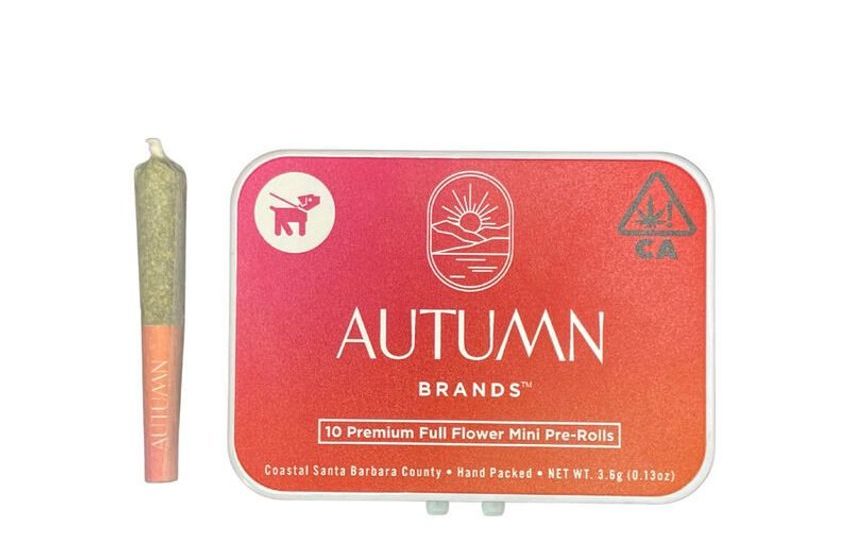  Compact Mini Pre-Rolls – Autumn Brands Recently Launched the 10-Pack Mini Pre-Rolls (TrendHunter.com)