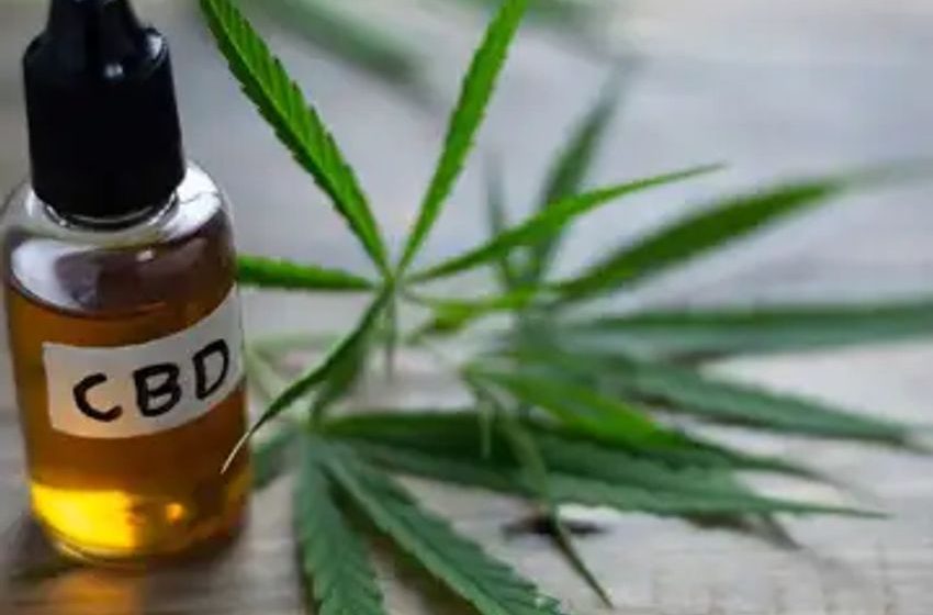  The 3 Best CBD Stocks to Buy in August 2023