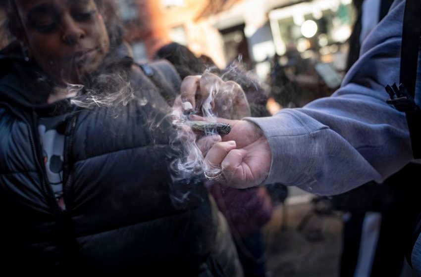  NY’s testing failures expose legal weed consumers to unsafe cannabis; a ‘serious health threat’