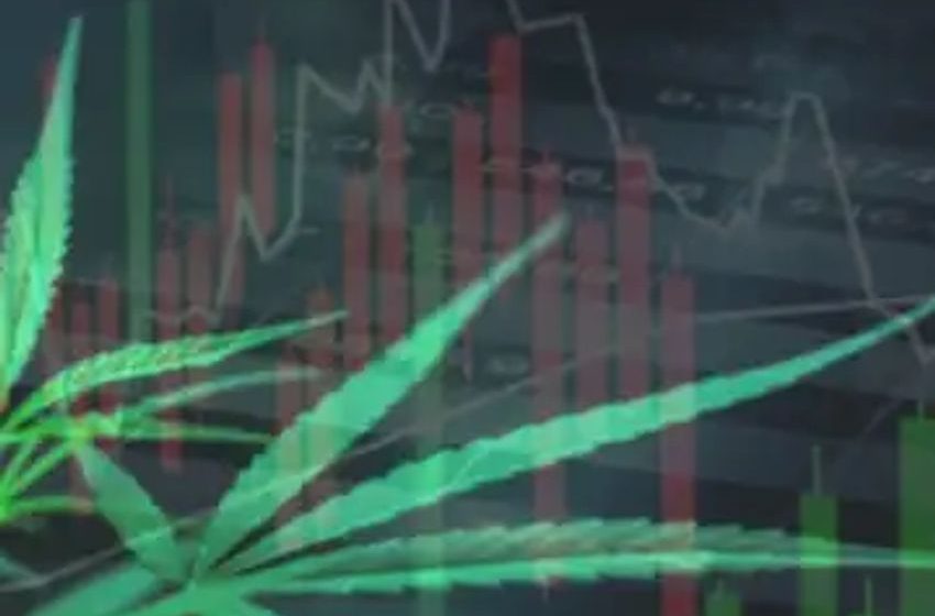  Cannabis Valuation Jumps Post-Rescheduling Recommendation, Viridian Report Reveals