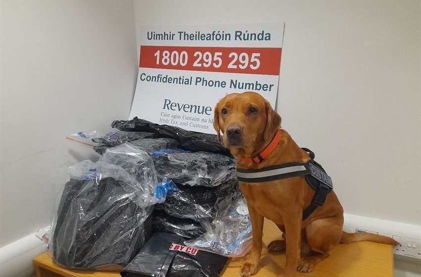  Woman arrested after sniffer dog Blue helps uncover €450k of cannabis at Dublin Airport