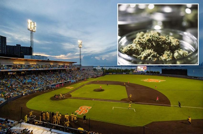  First legal Staten Island pot sales hosted near ballpark, drawing anger from local leaders: ‘It’s the dumbing down of America’