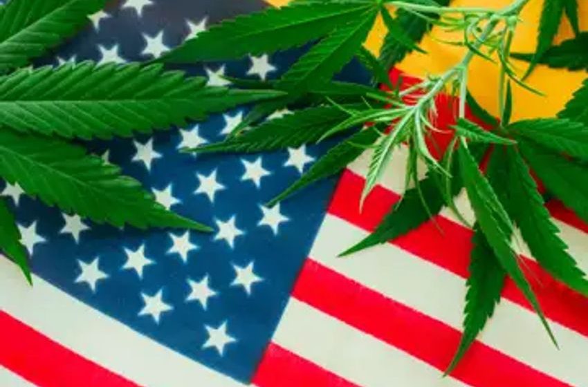  It’s Time to Legalize Marijuana. It’s What Most Americans Want