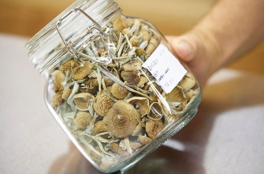  Thousands sign up to experience magic mushrooms as Oregon experiment takes off…