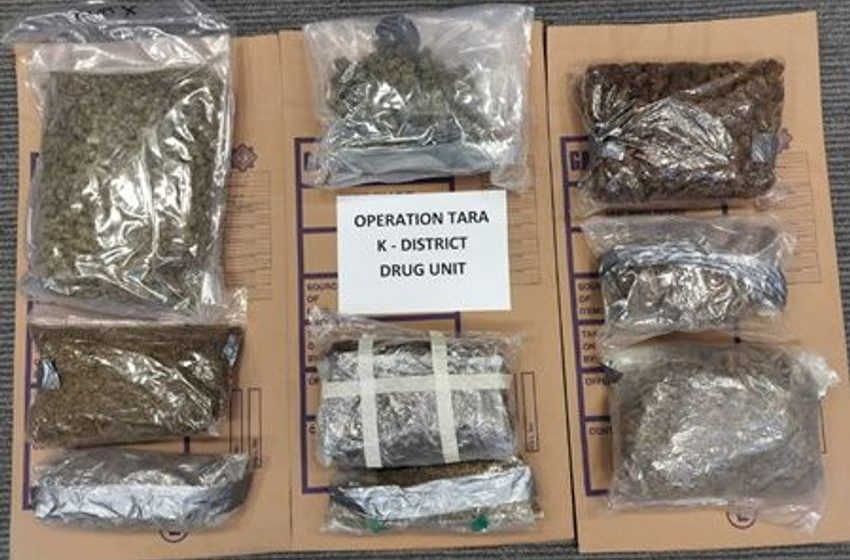  Man (50s) arrested as gardai seize €100,000 of cannabis and replica firearms in Dublin