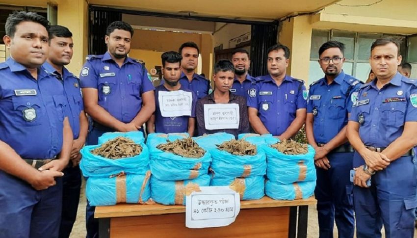  Two held with 41-kg hemp in Moulvibazar