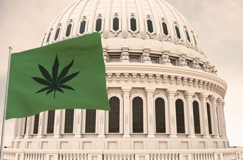  Senate Committee Passes Cannabis Banking Bill