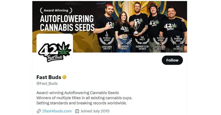  Fast Buds becomes the first cannabis seed company to launch a marketing campaign on Twitter