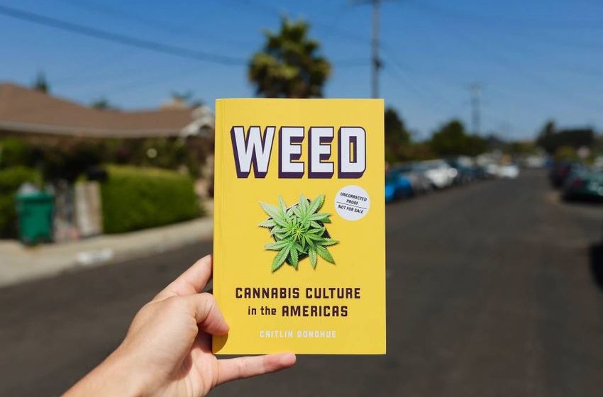  Cannabis Education for Teens Is This San Francisco Author’s Mission