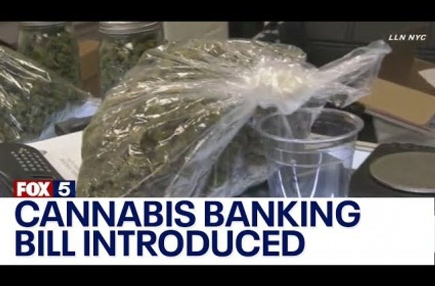  Bipartisan Bill Allows Legal Pot To Access Banking