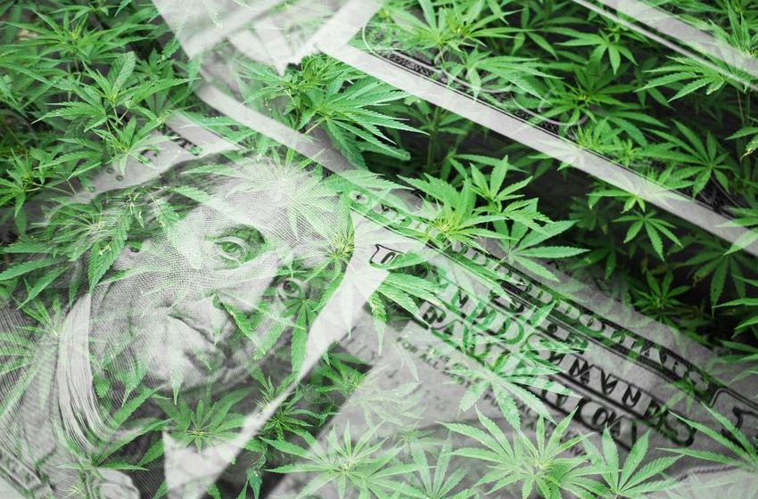  Cannabis Stocks For 2023: What You Need To Know