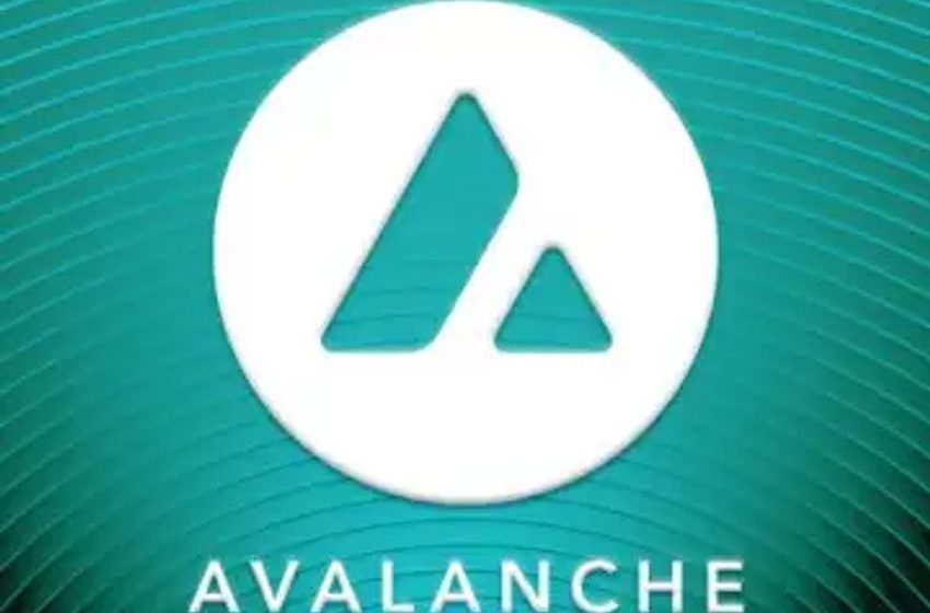  Magic mushrooms, hemp and kratom can now be certified with Avalanche blockchain