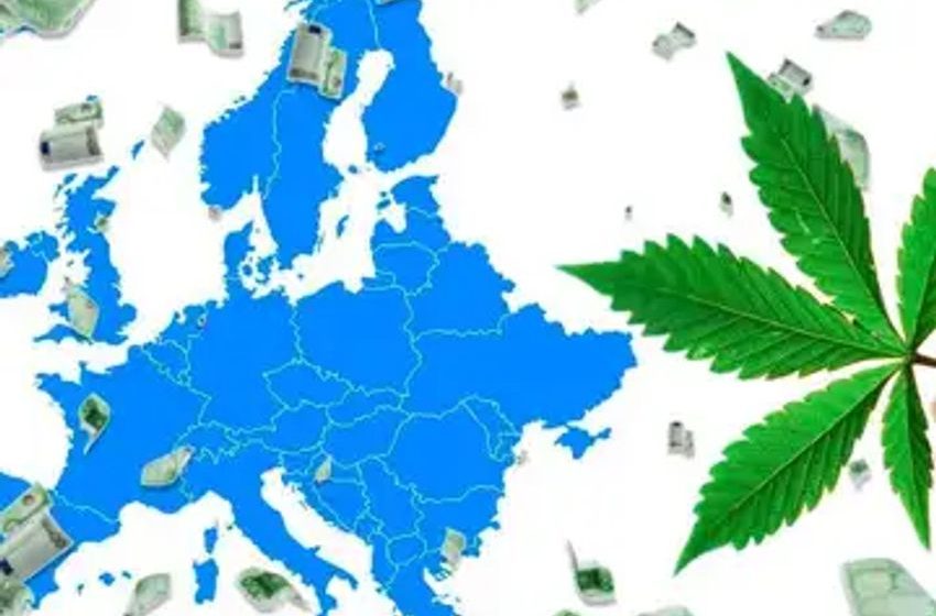  Positive Outlook For Weed Legalization In Germany’s Legislature & More Global Marijuana Updates