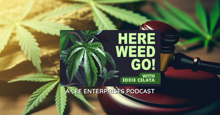  Law firm utilizes artificial intelligence to navigate cannabis regulations in multiple states | Here Weed Go! podcast