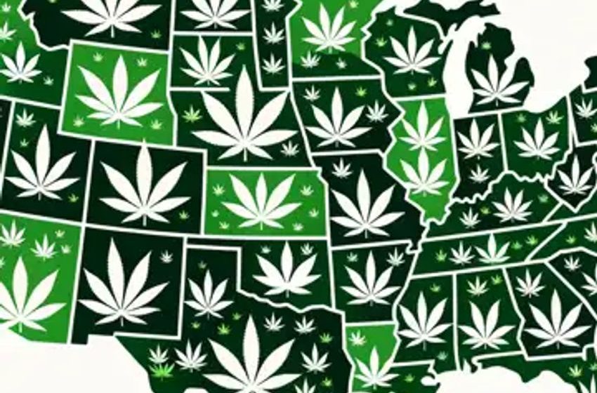  $5.7B Cannabis Tax Harvest: New Federal Data Reveals States’ Windfalls