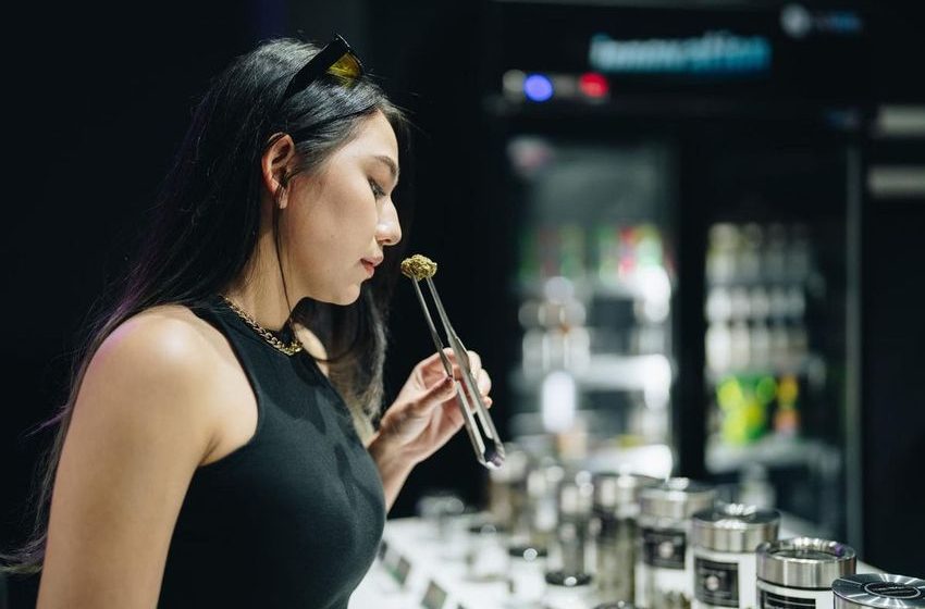  Thailand To Reconsider Cannabis Decriminalization Amid Thriving Market