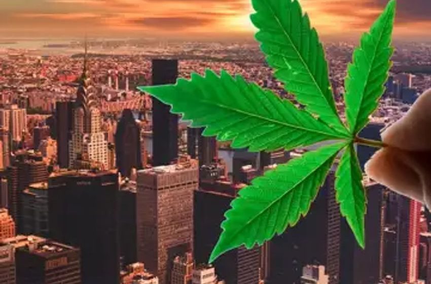  New York’s Cannabis Licensing Application Period Is Finally Open To All After Months Of Chaos