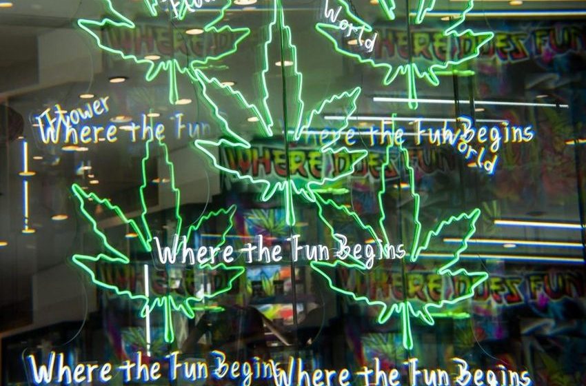  New York’s road to rational legal weed sales grows ever more dazed and confused