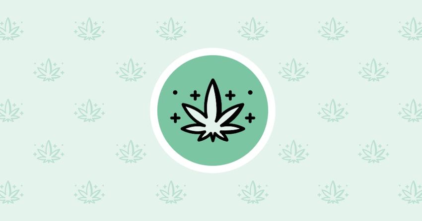  Introducing Nuggets, a weekly newsletter chronicling legal cannabis in Minnesota